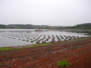 Aquaculture - SeaChoice